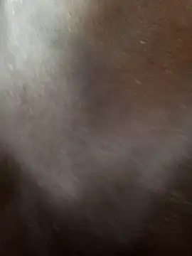 Swirly blac online show from 12, 3, 2026