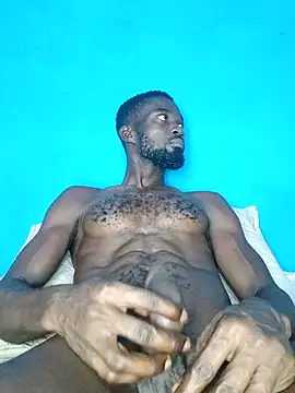 Bulletact online show from 9, 2, 2026