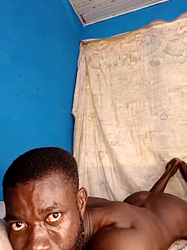 Bulletact online show from 15, 2, 2026