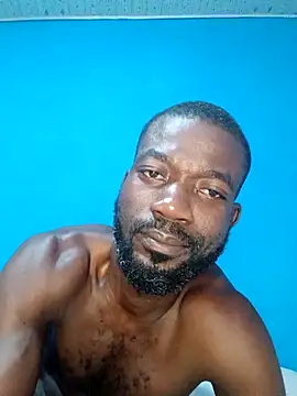 Bulletact online show from 2, 3, 2026