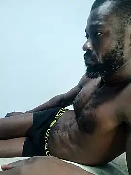 Bulletact online show from 29, 3, 2026