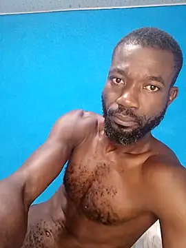 Bulletact online show from 3, 3, 2026