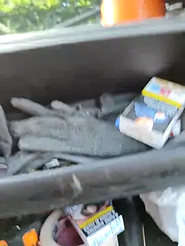 claudio20031 online show from 16, 9, 2025