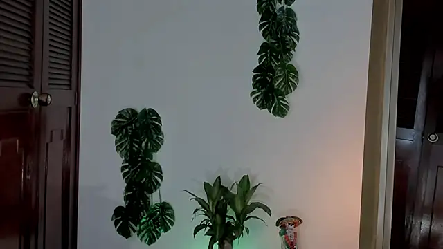 yandracelisofficial online show from 1, 3, 2025