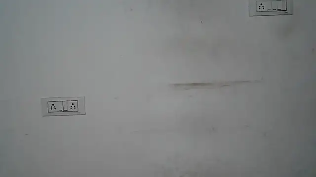 Suzie darling online show from 21, 12, 2024