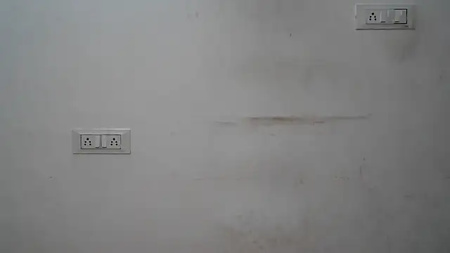 Suzie darling online show from 7, 1, 2025