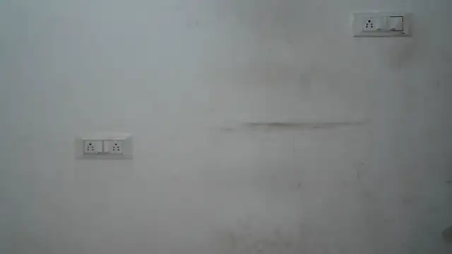 Suzie darling online show from 9, 1, 2025