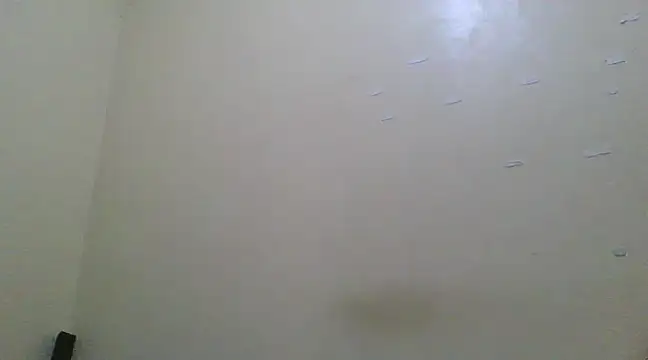 the geisha 2021k online show from 13, 3, 2025