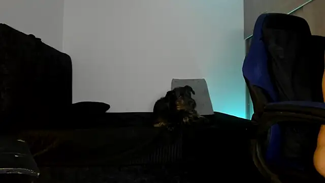 male pussy online show from 9, 10, 2025