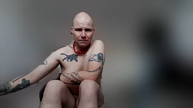 gaywolf426 online show from 19, 2, 2026