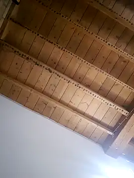 MaidenUK online show from 19, 12, 2024