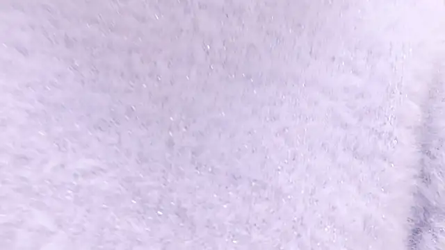 Nonchan  online show from 24, 2, 2025