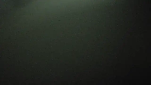 Armyexhibitionistvet online show from 3, 10, 2025