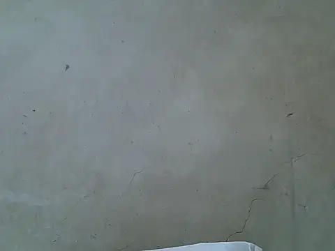 hairyswt pus online show from 26, 11, 2025