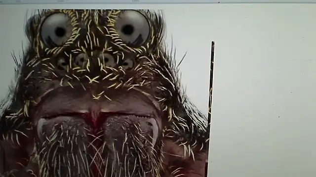 Ireallysquirt online show from 12, 3, 2025