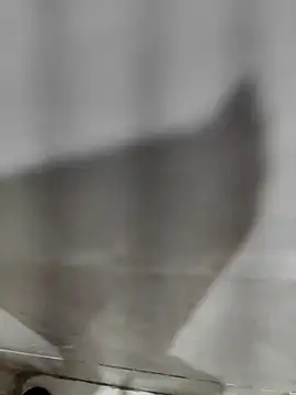 joejoe7 online show from 2, 10, 2025