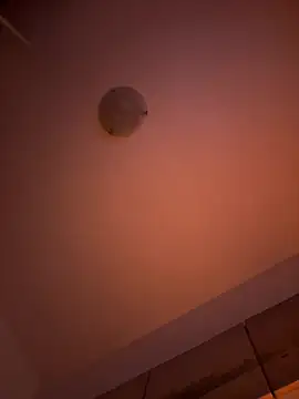 Sashabunny online show from 12, 2, 2026