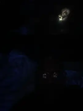 Ricoadoyabaaaaaaaad online show from 2, 3, 2026