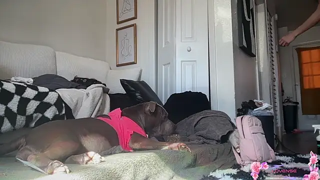 yummyrina online show from 7, 2, 2026