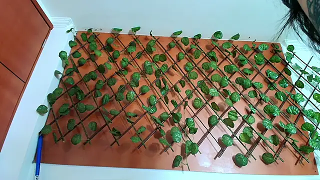 Naughty Kittenm online show from 8, 4, 2026