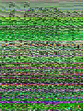 Sunbelxx online show from 18, 12, 2025