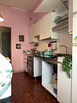 Sunbelxx online show from 4, 11, 2025