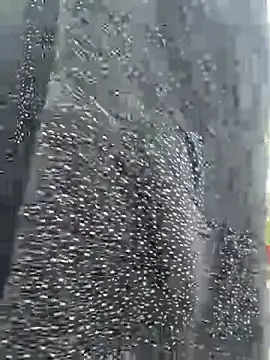 Ishikarana online show from 13, 3, 2026