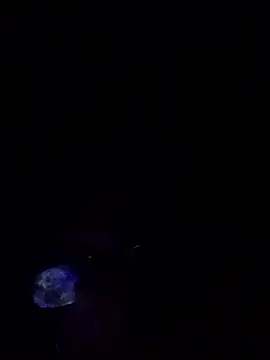 SOYMRX online show from 12, 10, 2025