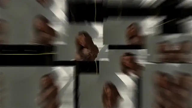 seilyfox online show from 25, 9, 2025