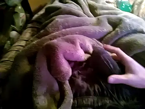 hothippie420 online show from 12, 3, 2025