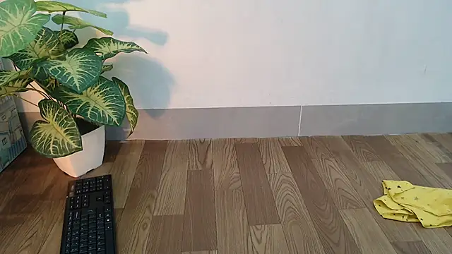 Linn 97 online show from 31, 1, 2025