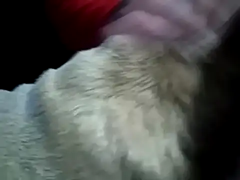 missthickness35 Pika online show from 13, 1, 2025