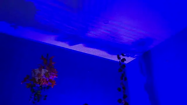 Hellen dumont online show from 11, 9, 2025