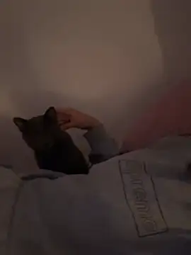 Ag4ta  online show from 19, 2, 2026