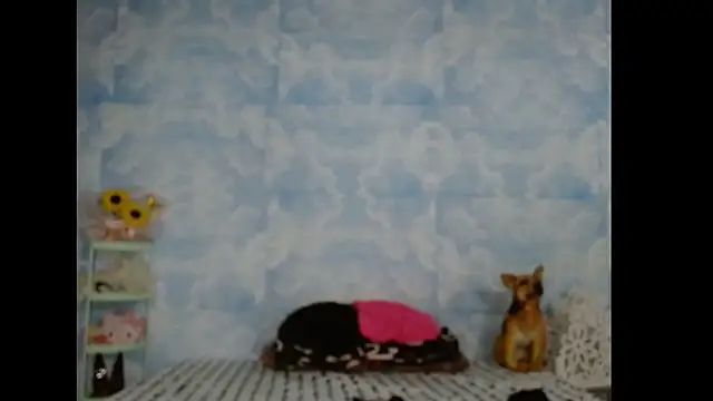 Valerii Gil online show from 3, 3, 2026