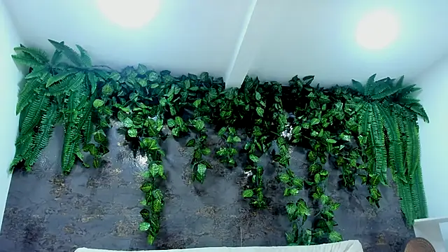 alice greco online show from 24, 11, 2025