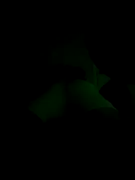 Snapshot of lRainbowBoy chatting on 14, 11, 2025 lRainbowBoy online show from 14, 11, 2025