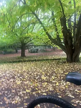 Shyboy817 online show from 22, 10, 2025