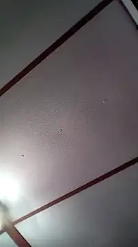 xDestineeXX online show from 30, 12, 2024