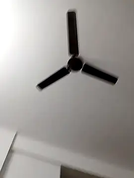 Snapshot of Camieon_dre chatting on 28, 10, 2025 Camieon dre online show from 28, 10, 2025