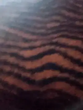 Aachal 7 online show from 22, 11, 2025