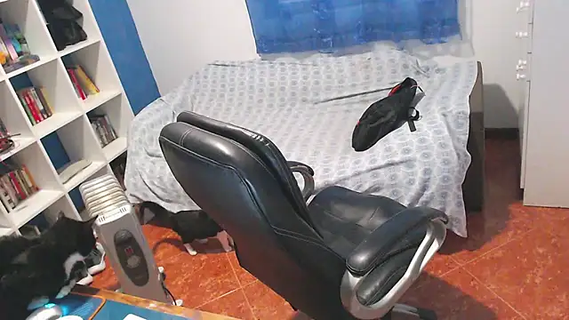 ravingr4d4 online show from 9, 2, 2026