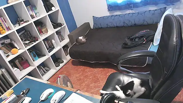 ravingr4d4 online show from 24, 10, 2025