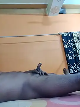 Graj648xh online show from 27, 11, 2025