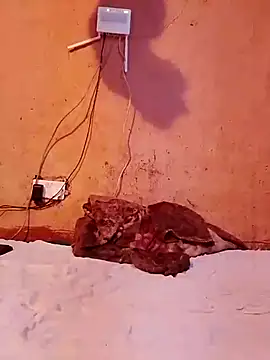 Snapshot of cute_naimah chatting on 5, 12, 2025 cute naimah online show from 5, 12, 2025