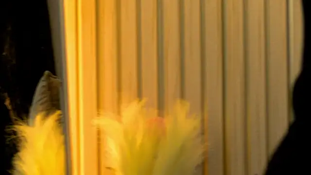 Snapshot of MiaCharm chatting on 2, 2, 2026 MiaCharm online show from 2, 2, 2026