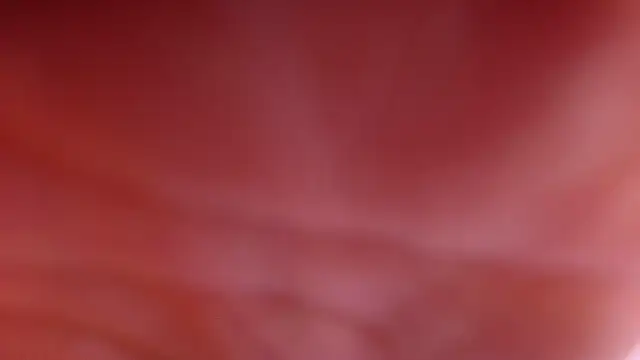 Snapshot of violett_lo chatting on 28, 2, 2026 violett lo online show from 28, 2, 2026