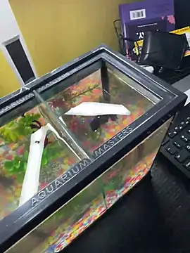 VFuck4U xxx online show from 10, 3, 2025