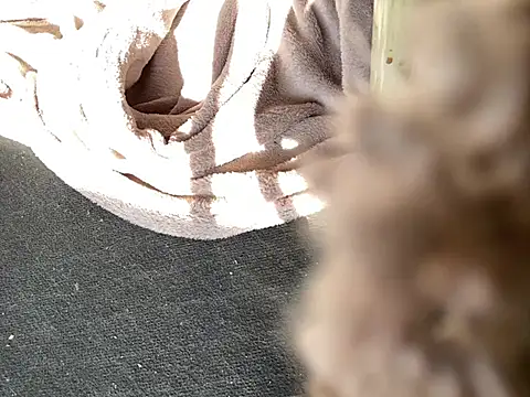 Fuckbuddy36 online show from 10, 3, 2025