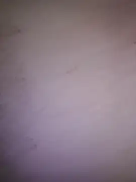 edygaucho3 online show from 26, 9, 2025